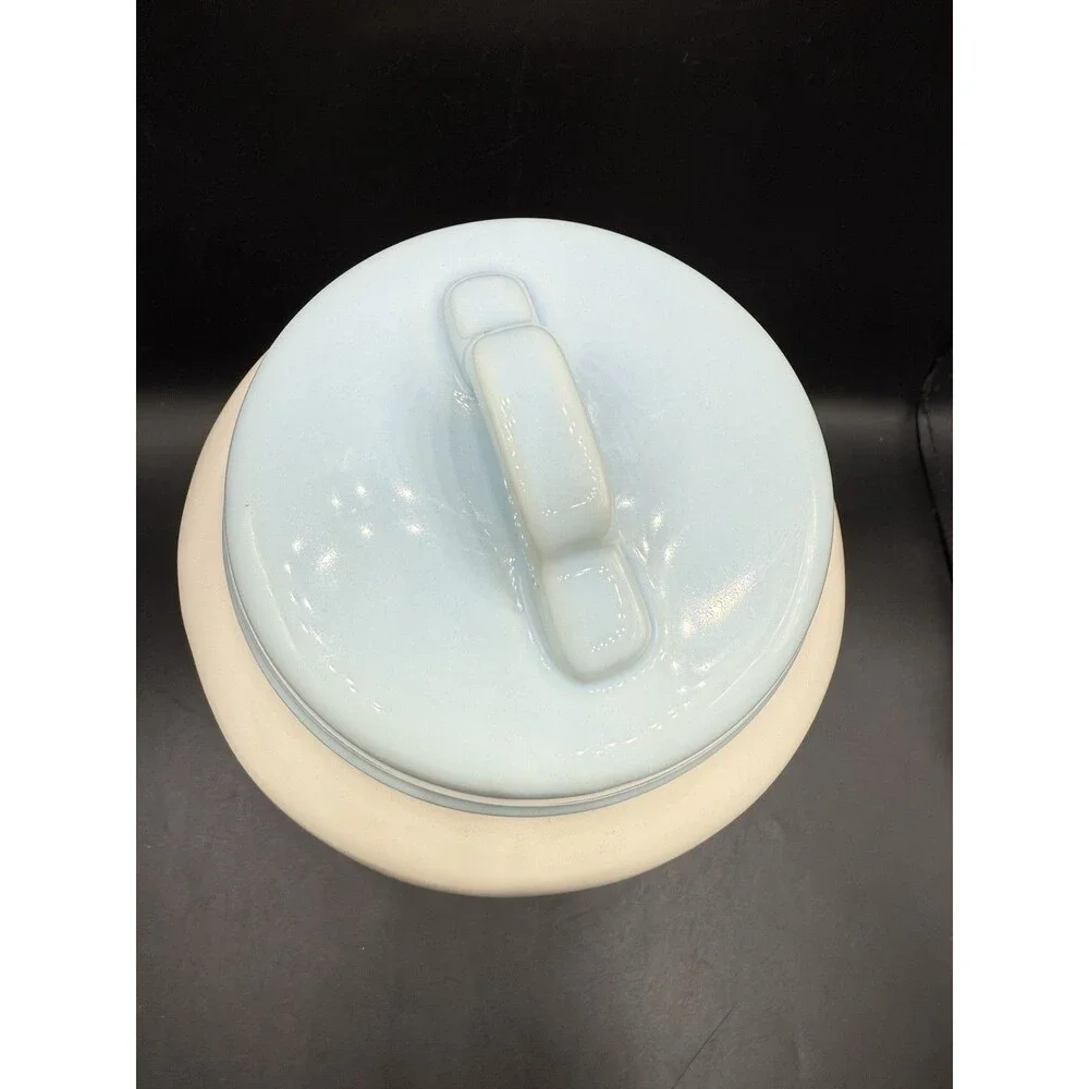 Disney Princess Cinderella Canister Cookie Jar A DREAM IS A WISH - Rae Dunn
